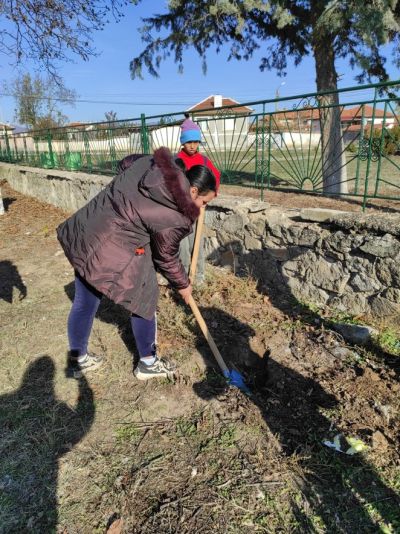 Инициатива за засаждане на още дървета - Изображение 6
