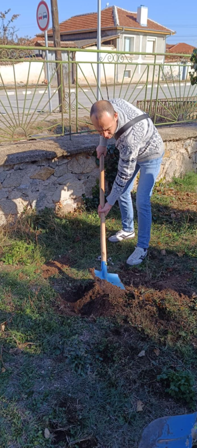 Инициатива за засаждане на още дървета - Изображение 7